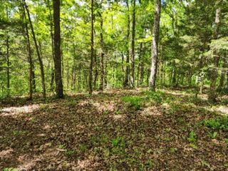 0 Froest Trails, Celina, TN 38551