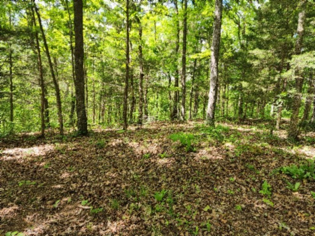 0 Froest Trails, Celina, TN 38551