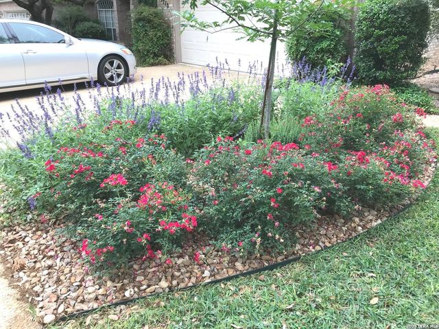 1710 Antler Crossing, San Antonio, TX 78248