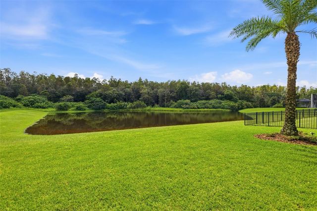 18615 RUE BEAUVAIS, Lutz, FL 33558