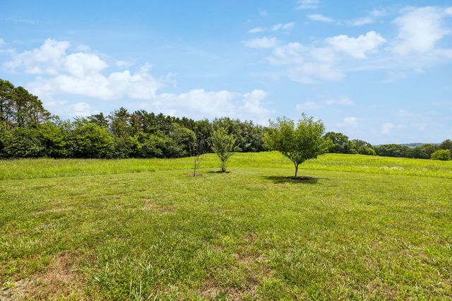 133 Columbus Landing, Delano, TN 37325