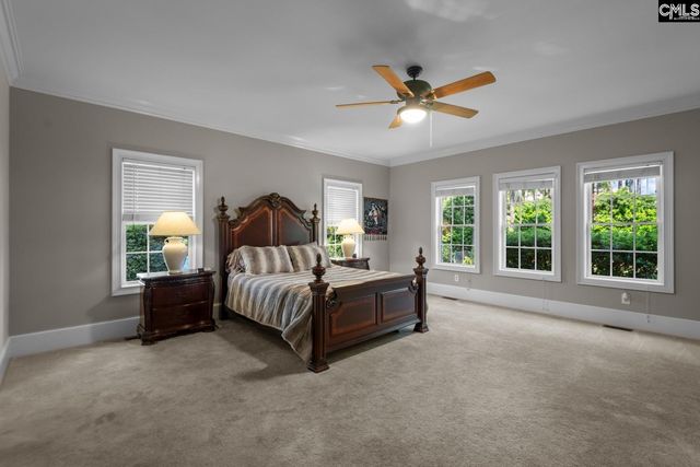 115 Pointe Overlook Drive, Chapin, SC 29036