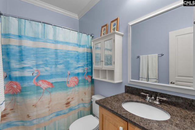 115 Pointe Overlook Drive, Chapin, SC 29036