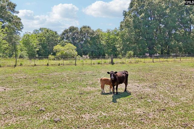 274 Rest Street, Pomaria, SC 29126
