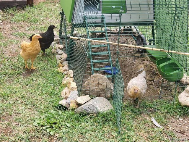 1418 Rose Street, Georgetown, CO 80444