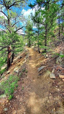 1418 Rose Street, Georgetown, CO 80444