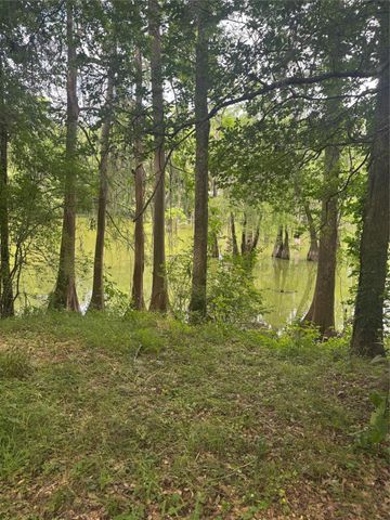 45 County Road 2859, Cleveland, TX 77327