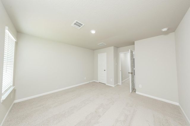 8132 Alpine Bearberry Drive, Houston, TX 77016