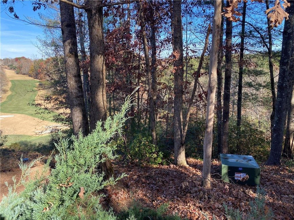 120 Course View Way, Sunset, SC 29685