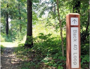 TBD Clivenden Lane, Bella Vista, AR 72714