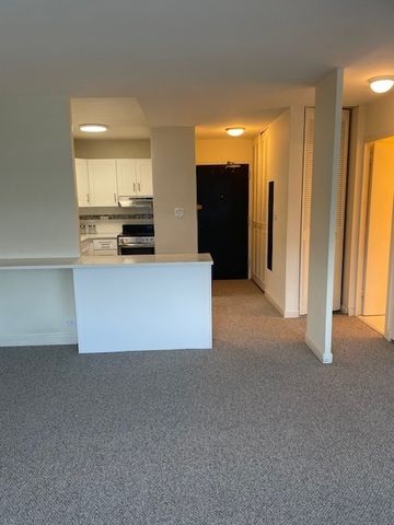 4250 N Marine Drive 2925, Chicago, IL 60613