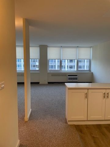4250 N Marine Drive 2925, Chicago, IL 60613