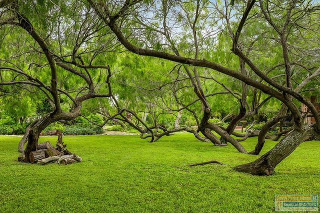 27603 Palo Verde Rd, San Benito, TX 78586