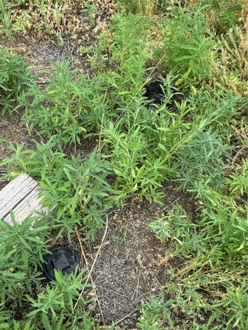 6 Calle Martinez A, Santa Cruz, NM 87567