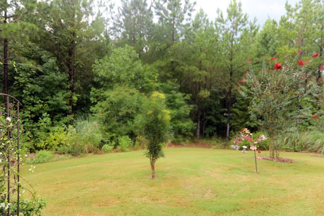 31 Mulberry Crossing Court, Cataula, GA 31804