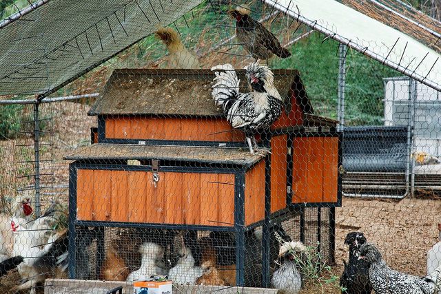 1031 Hunters Creek Way, Hockley, TX 77447