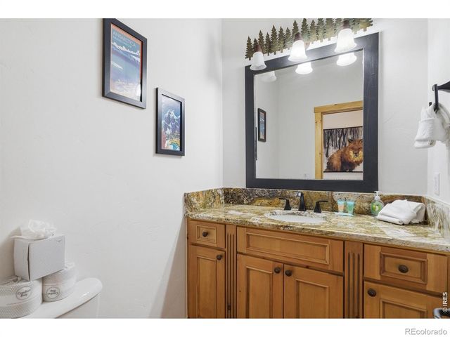 590 Water Dance Drive, Frisco, CO 80443