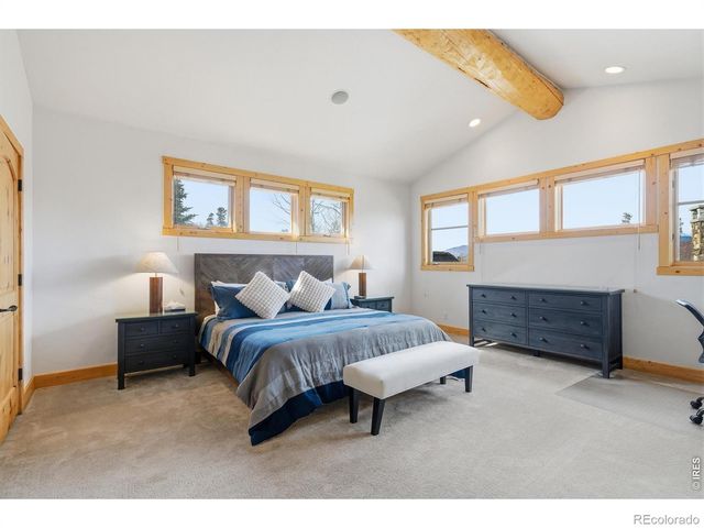 590 Water Dance Drive, Frisco, CO 80443