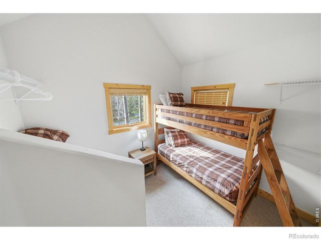590 Water Dance Drive, Frisco, CO 80443