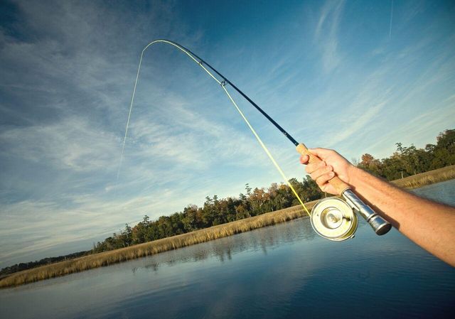 105 Peninsula Drive, Ravenel, SC 29470