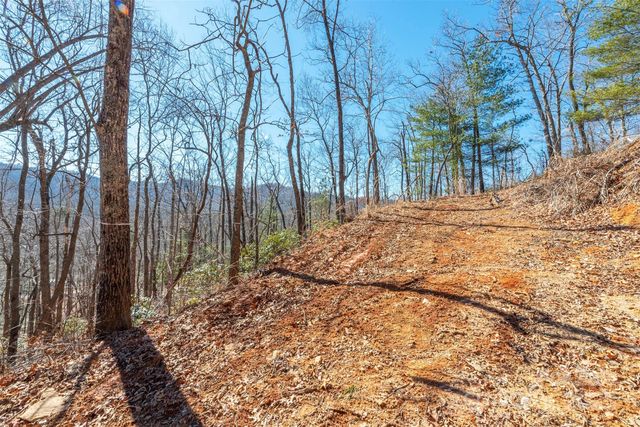 107 Bartram Way, Black Mountain, NC 28711