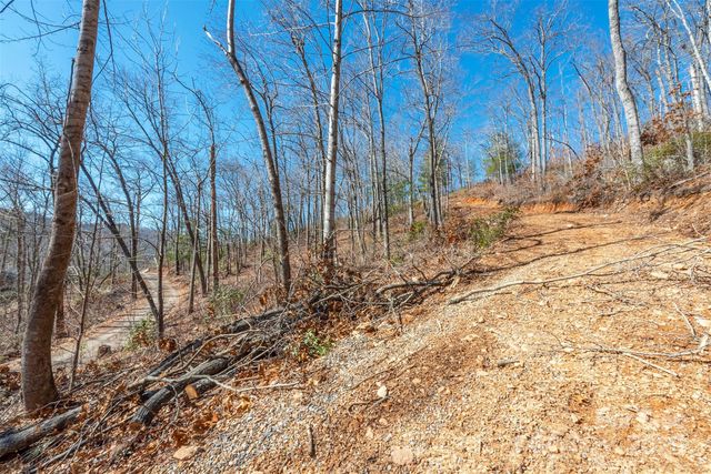 107 Bartram Way, Black Mountain, NC 28711