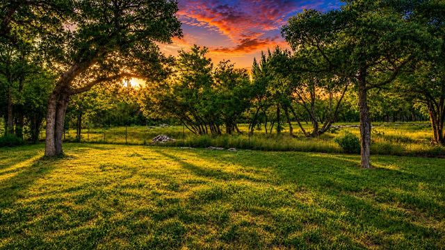 1103 Bluebonnet DR, Cedar Park, TX 78613