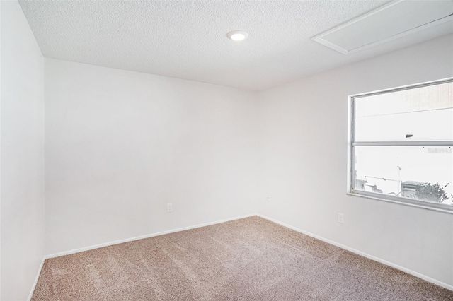 11901 SNAPDRAGON ROAD, Tampa, FL 33635