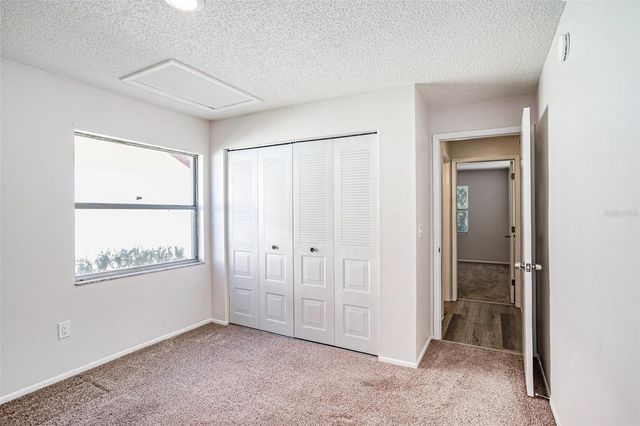 11901 SNAPDRAGON ROAD, Tampa, FL 33635