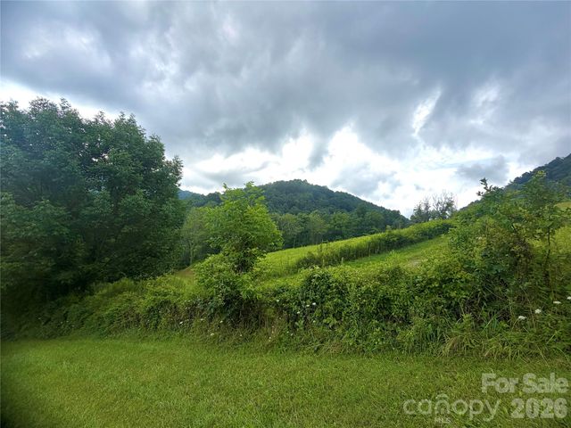 00 Trillium Way, Clyde, NC 28721