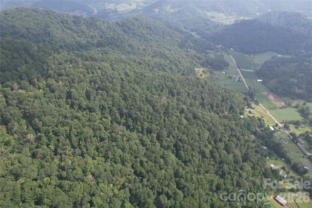 00 Trillium Way, Clyde, NC 28721