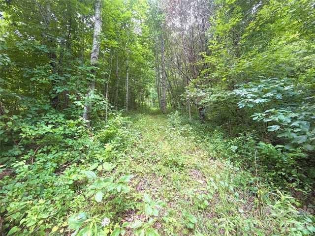 00 Trillium Way, Clyde, NC 28721