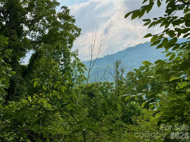 00 Trillium Way, Clyde, NC 28721