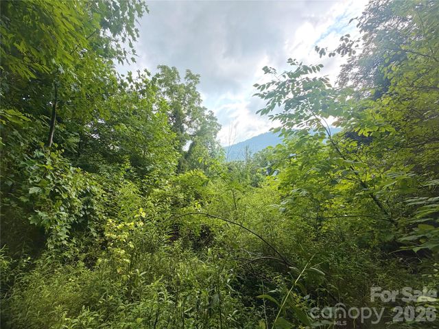 00 Trillium Way, Clyde, NC 28721