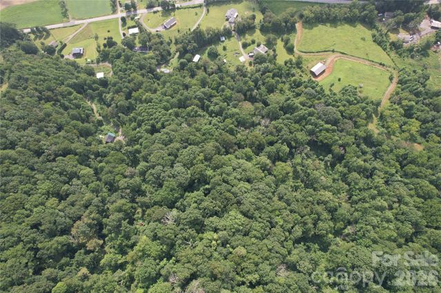 00 Trillium Way, Clyde, NC 28721