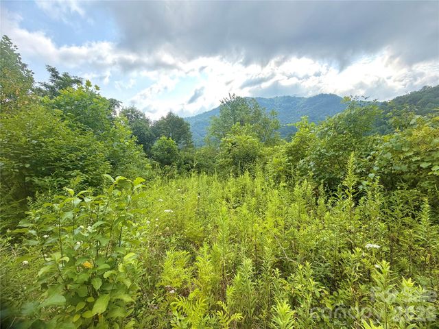 00 Trillium Way, Clyde, NC 28721