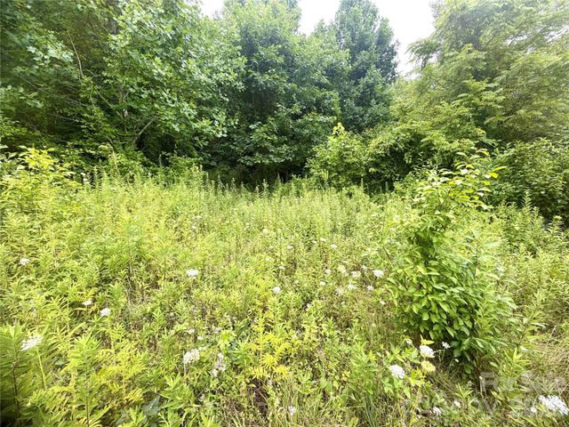 00 Trillium Way, Clyde, NC 28721