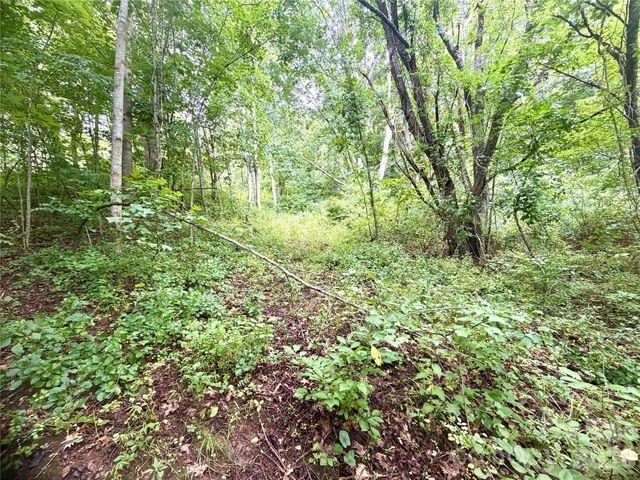 00 Trillium Way, Clyde, NC 28721