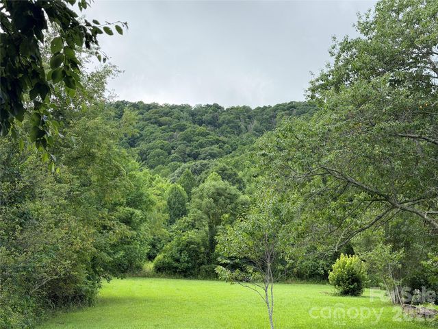 00 Trillium Way, Clyde, NC 28721