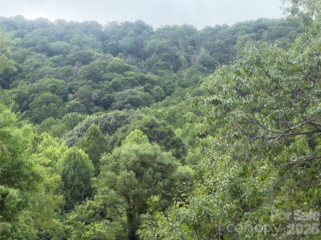 00 Trillium Way, Clyde, NC 28721