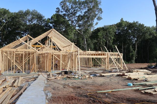 133 Roebuck Lane, New Waverly, TX 77358