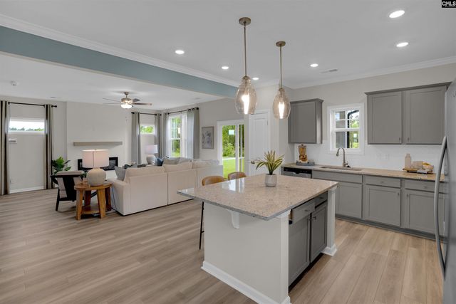 656 Old Charleston Road, Pelion, SC 29123