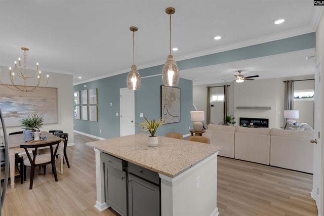 656 Old Charleston Road, Pelion, SC 29123