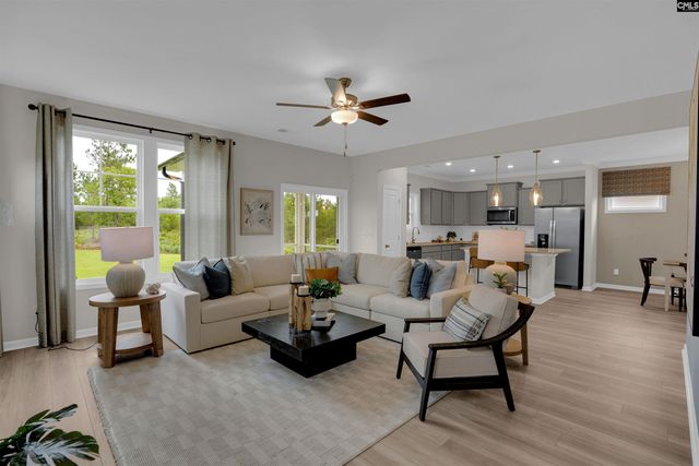 656 Old Charleston Road, Pelion, SC 29123