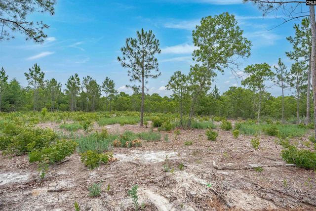656 Old Charleston Road, Pelion, SC 29123