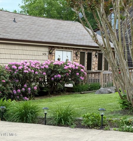 1458 East Shipley Ferry Road, Kingsport, TN 37663