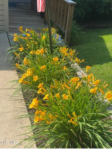 1458 East Shipley Ferry Road, Kingsport, TN 37663