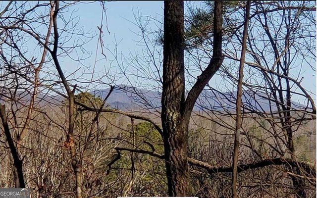 4AC Scenic Way 3833, Ellijay, GA 30540