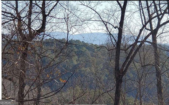 4AC Scenic Way 3833, Ellijay, GA 30540