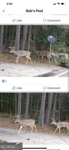 4AC Scenic Way 3833, Ellijay, GA 30540